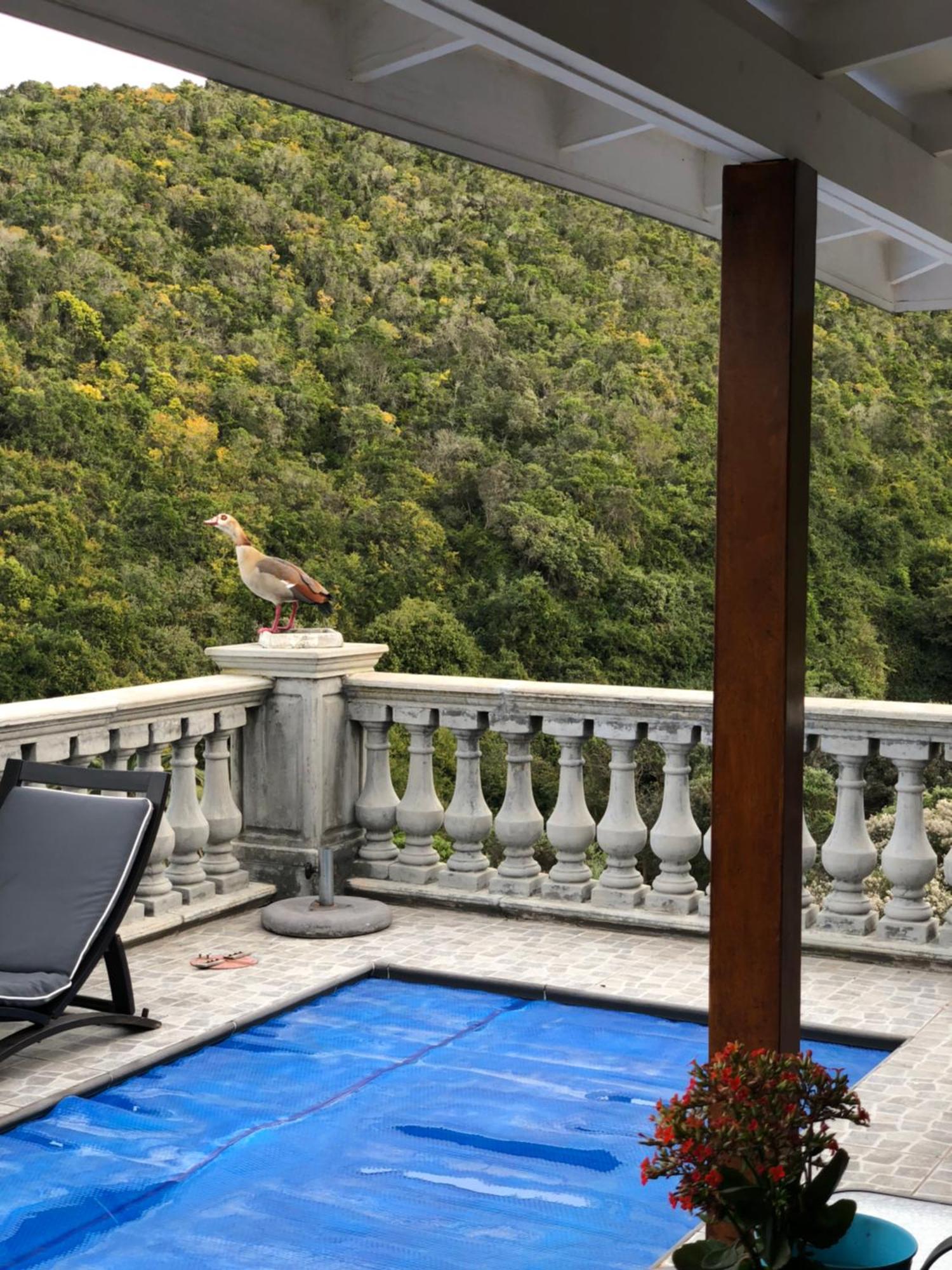 Livingstone Villa Wildernis Extérieur photo